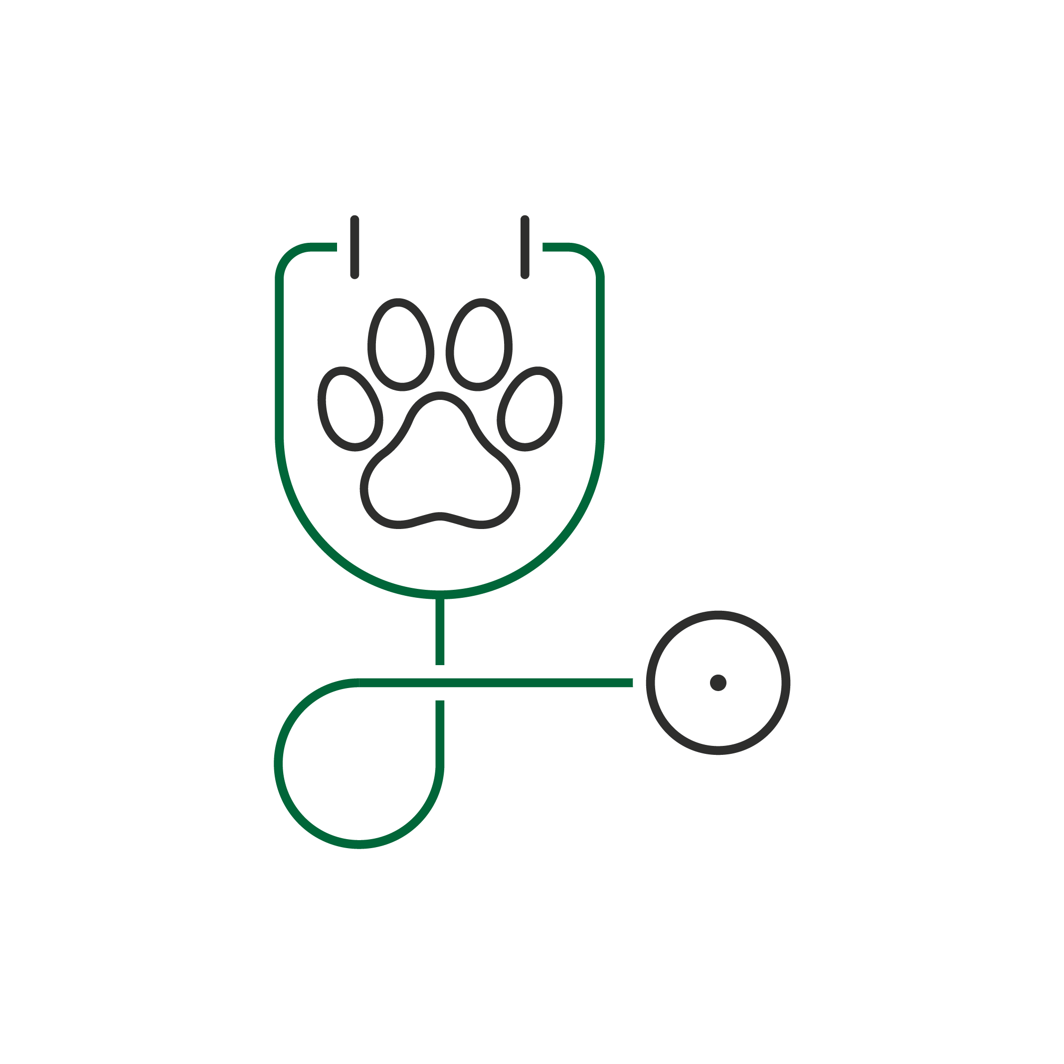 Pimpama City Vet - stethoscope icon