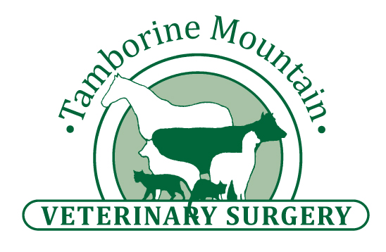 Tamborine Mountain Vet Surgery Logo