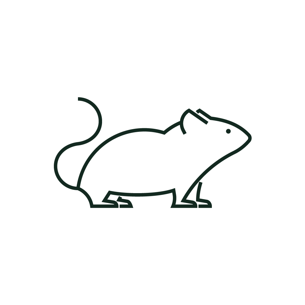 Pimpama City Vet - Mouse Icon